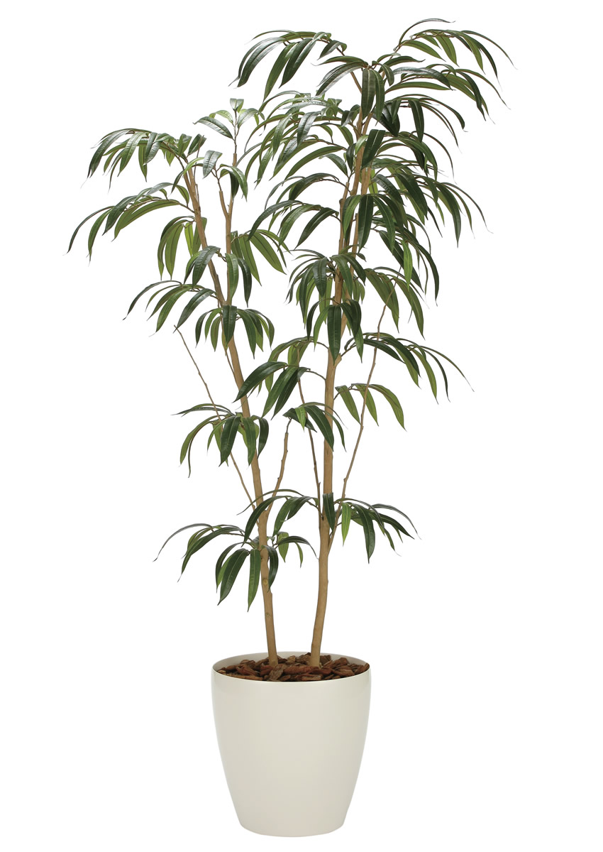 光触媒 光の楽園 ショウナンゴム1.8m【インテリア フェイクグリーン