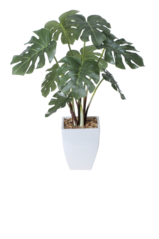 光触媒 光の楽園モンステラポット【インテリアグリーン 人工観葉植物