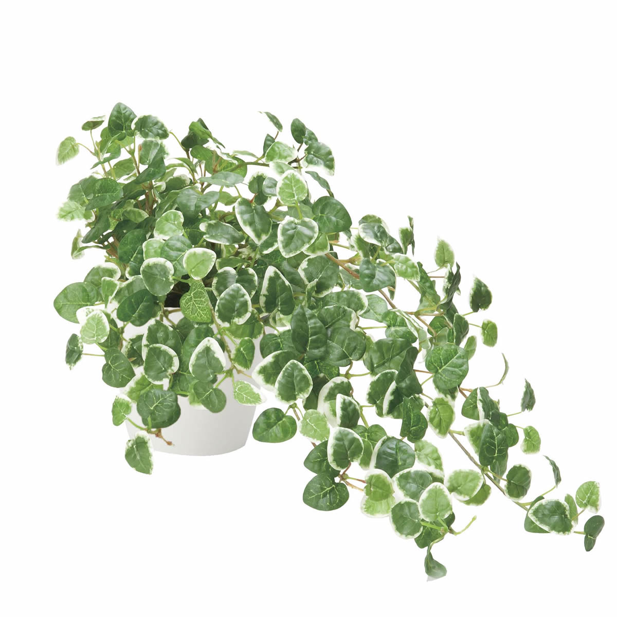 光触媒 光の楽園 プミラ【インテリアグリーン 人工観葉植物】(557H70