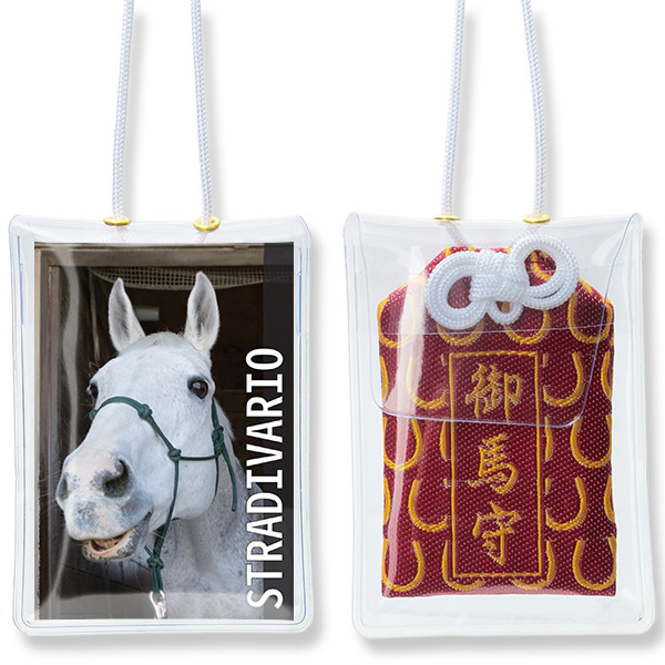 ディッシュクロスセット 馬（2枚組）