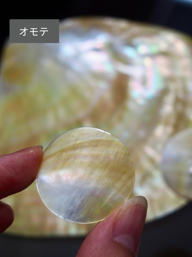 真珠貝プレート-シロチョウガイ(ラウンド)【約3cm/1枚】[メール便可