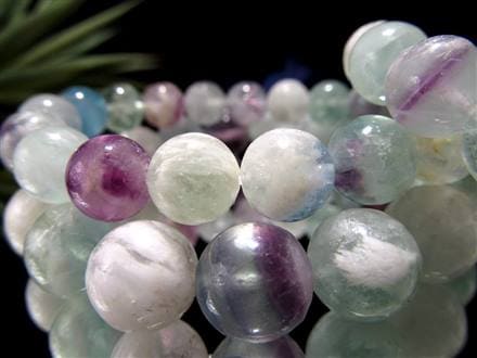 ☆激レア!!☆咲き誇る羽の花☆妖艶パープル＆爽やかブルーグリーン