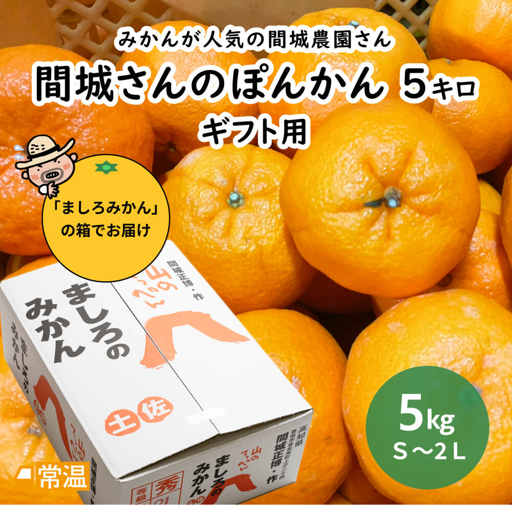 間城さんのぽんかん ギフト用 5キロ | 高知県土佐町【すえひろ屋】