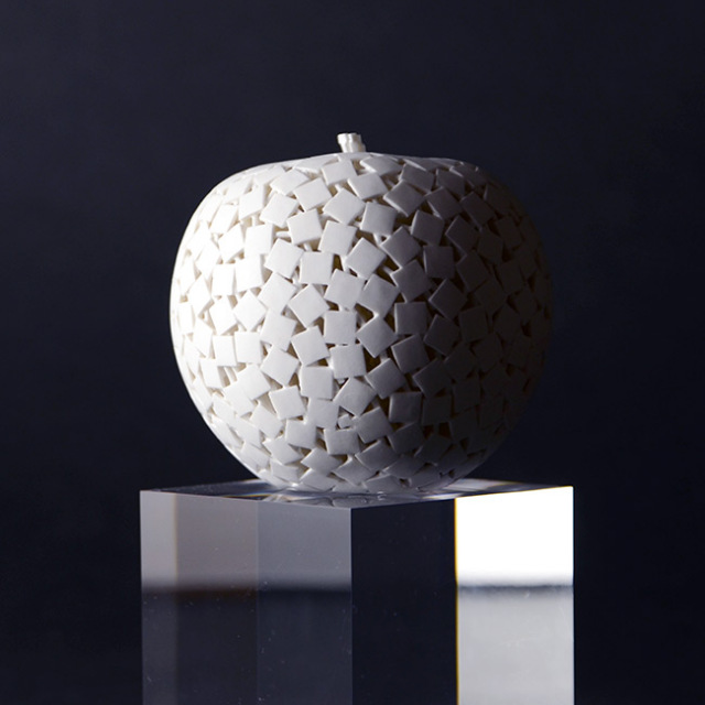 CONGLOMERATE Malus pumila var 作家「田中雅文」