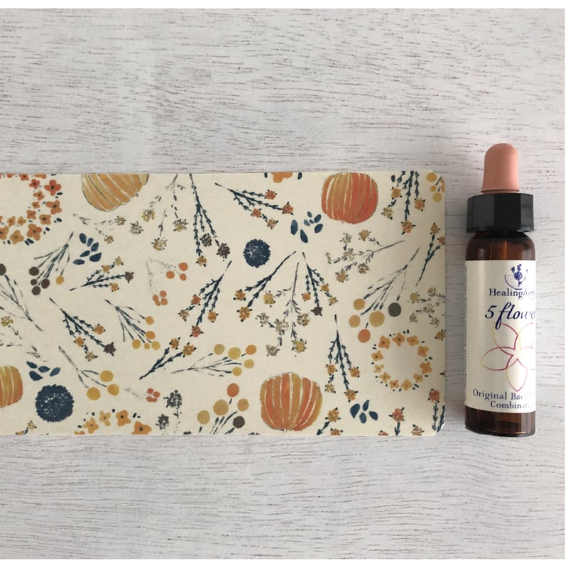 5フラワーレメディ Five Flower Remedy / バッチ フラワーレメディ | m