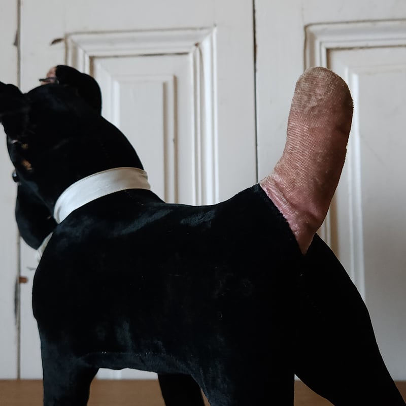 ピンク耳としっぽのワンコ | リボンときどきネコ