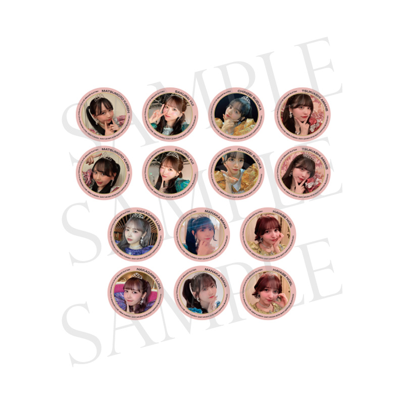 FRUITS ZIPPER 2nd Anniv. SP LIVE 2024ランダム缶バッジ（全14種