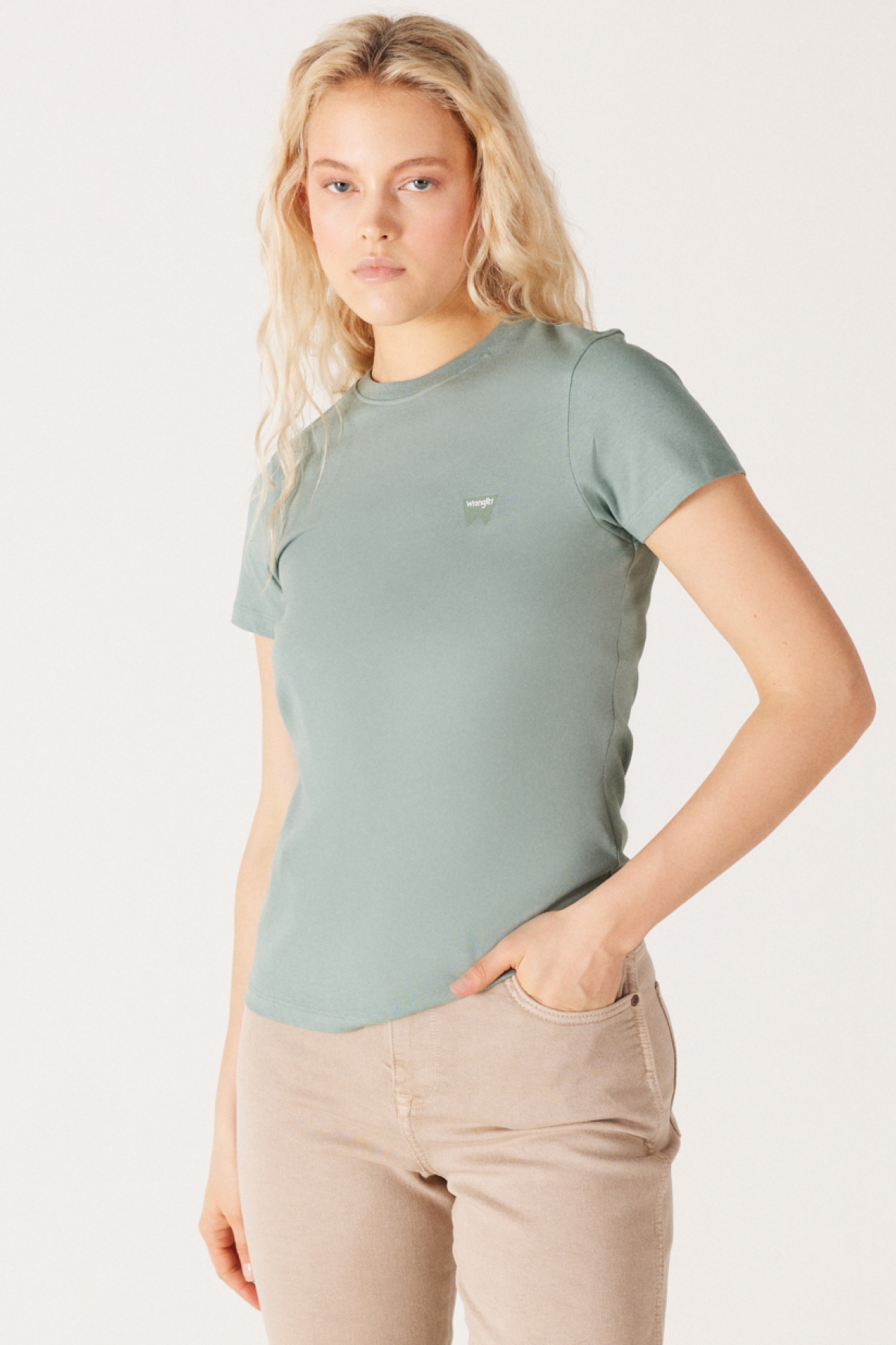 Slim Fit Dar Kesim %100 Pamuk Bisiklet Yaka Yeşil Tişört W7R4EEG62