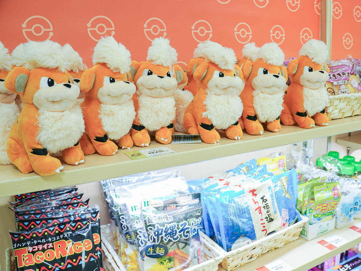 沖縄の推しポケモン「ガーディ」 - 仙台経済新聞