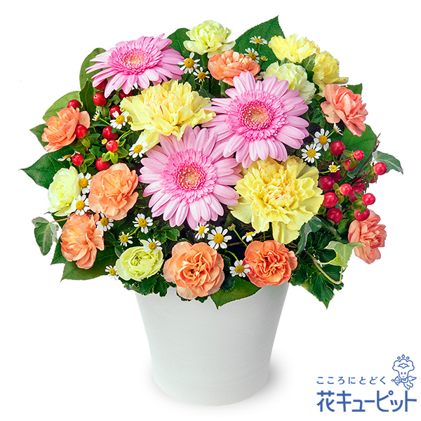 ピンクガーベラのミックスアレンジメント - アレンジメント(法人