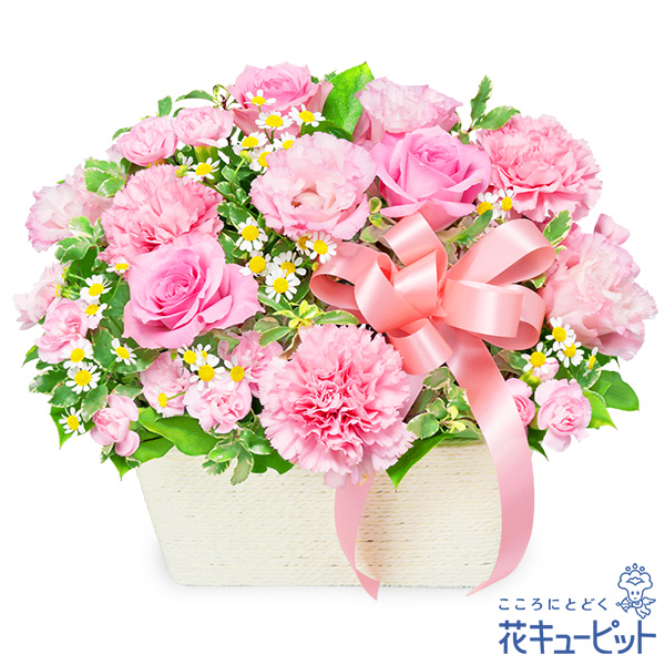 バラのピンクアレンジメント - お祝い(法人） ［525129］｜花や花束の