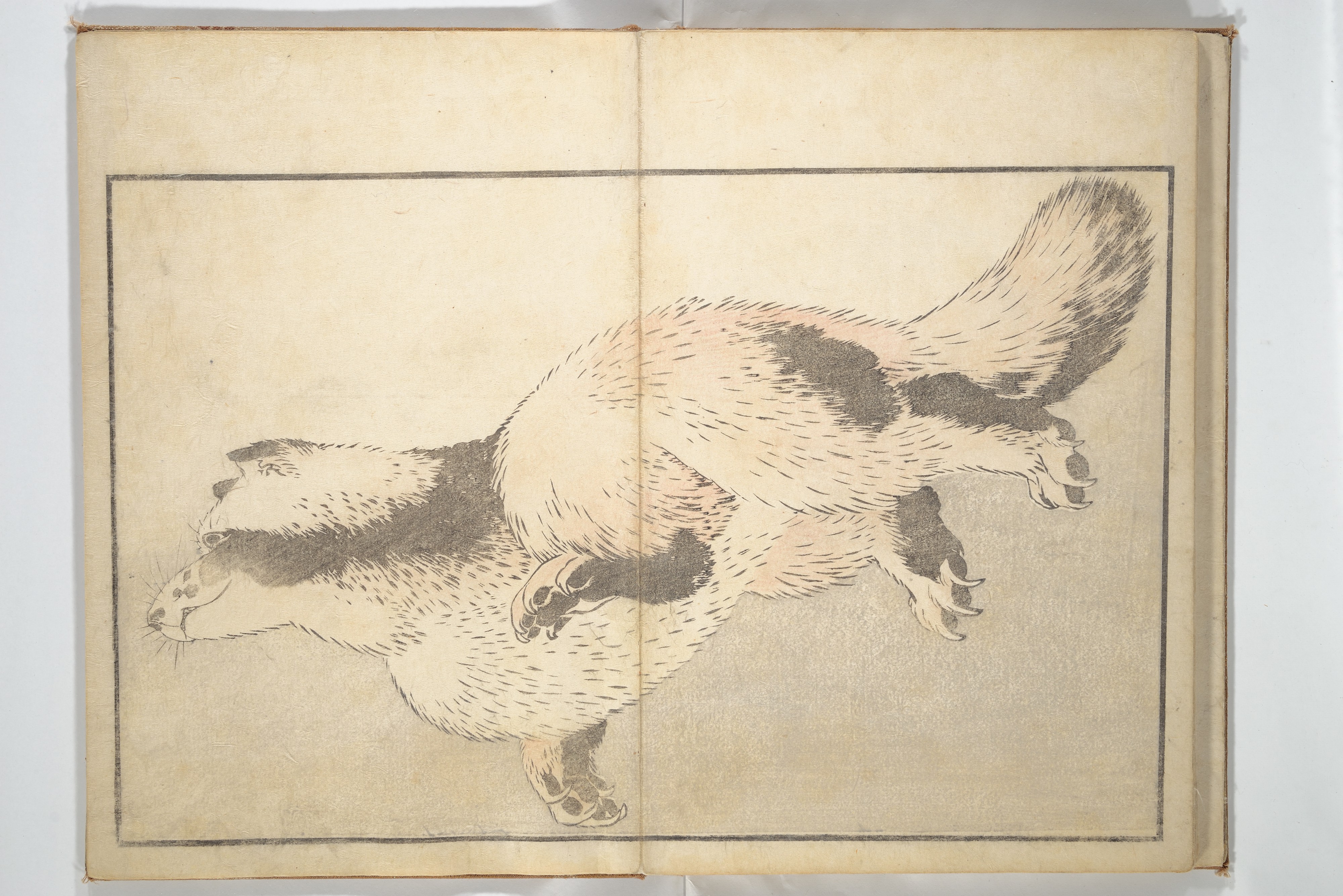 Katsushika Hokusai 葛飾北斎 - A Realistic Sketchbook by Hokusai