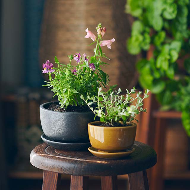 信楽丸鉢 5号用 鉢皿｜園芸｜中川政七商店 公式サイト