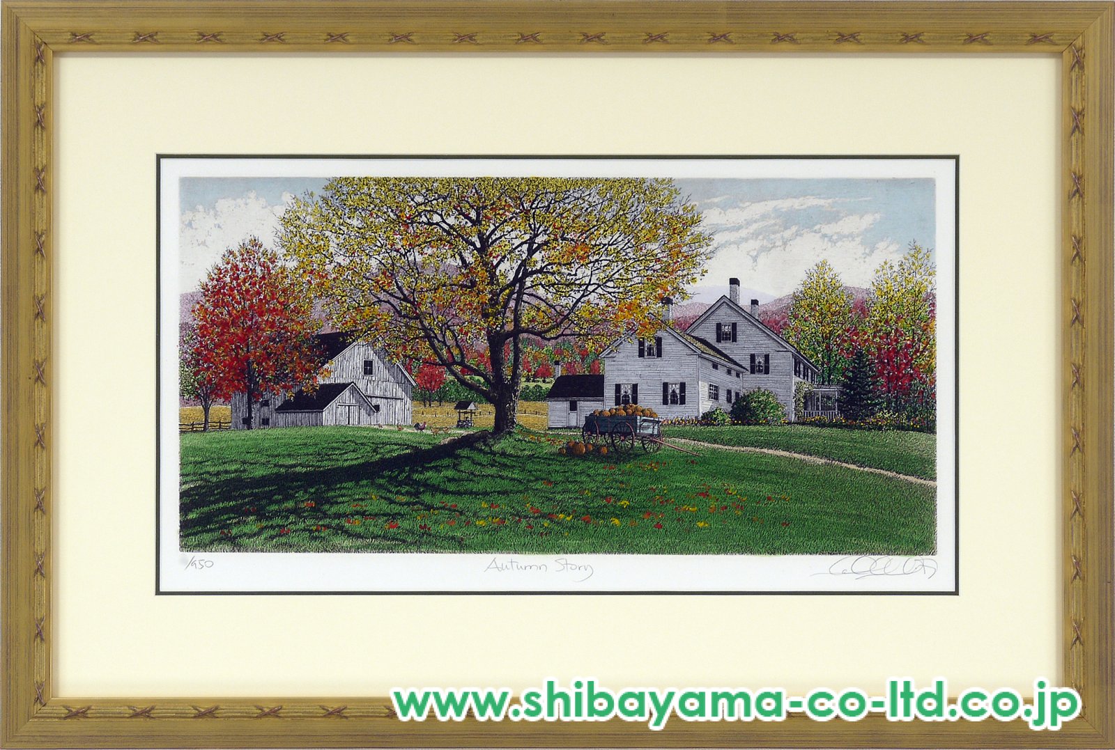 11169_702a8f221310c7cc1035e6e0