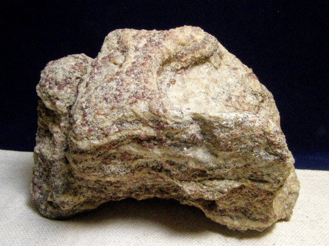 南極の石がやってきた！ | ザ・ストーンズ日記 SHRI