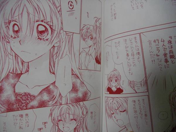 中古】神風怪盗ジャンヌ☆種村有菜☆目黒帝国☆椎空×まろん☆の落札