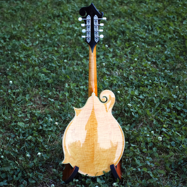 グラスランド フラットマンドリン ケース付き カワセ グラスランド