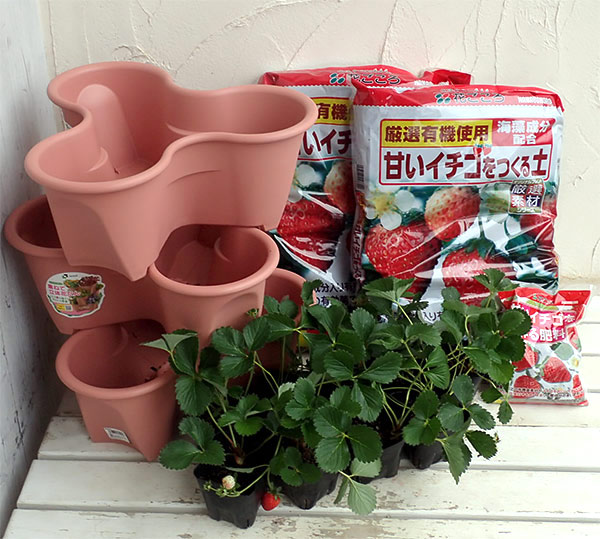園芸ネット本店｜いちご栽培セット（ハーベリーポット）といちご苗9株