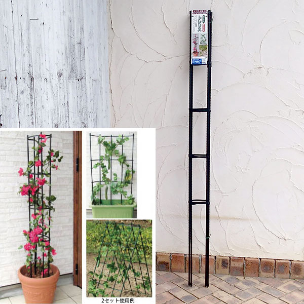 園芸ネット本店｜[送料無料]まきまきトレリス（幅60cm×高さ180cm） 4本