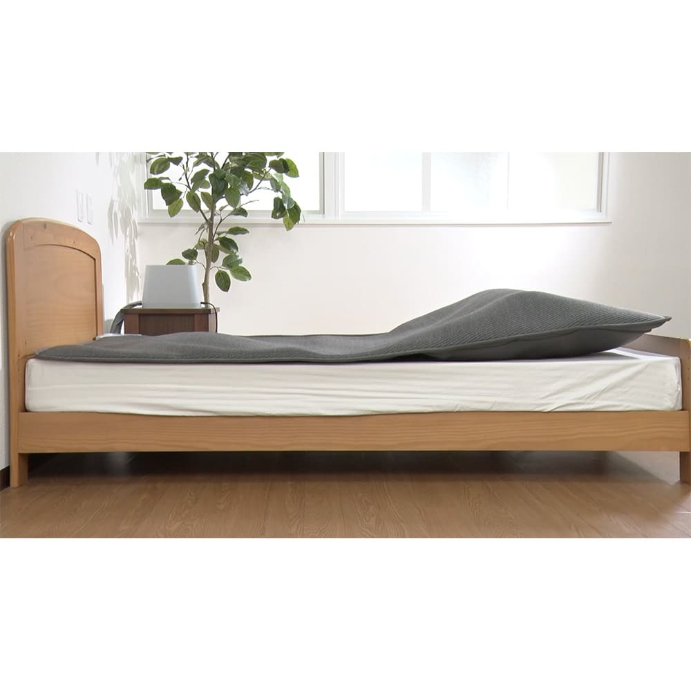 BlueBlood/ブルーブラッド エアテックスリーパー 通販 - ディノス