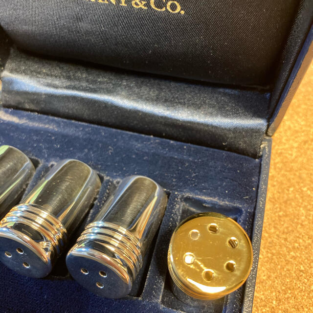 Tiffany & Co. - ⭐︎未使用Tiffanyティファニー スパイスボトル