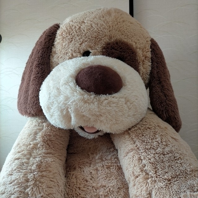 コストコ - COSTCO コストコ 犬 ぬいぐるみ 特大 大きい かわいい 動物