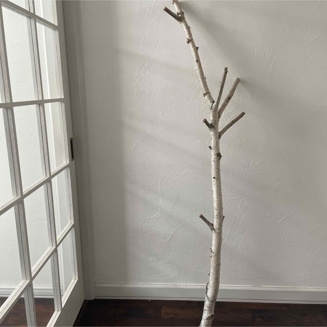 北海道白樺の木 店舗用インテリア 装飾 クリスマス装飾 の通販 by 花萌