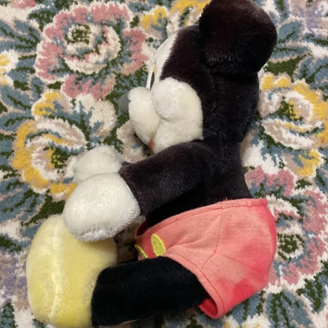 ミッキーマウス - 【希少】 ディズニーランド ミッキー ぬいぐるみ