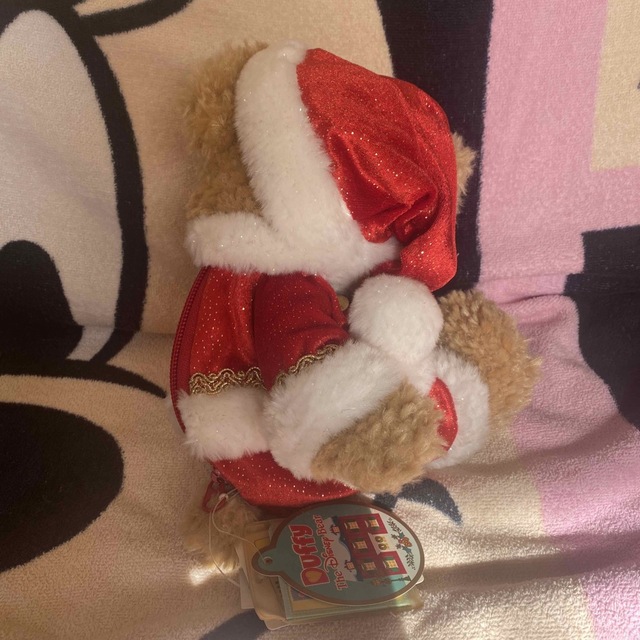 Disney - タグ付新品未使用 ダッフィークリスマスぬいぐるみポーチ