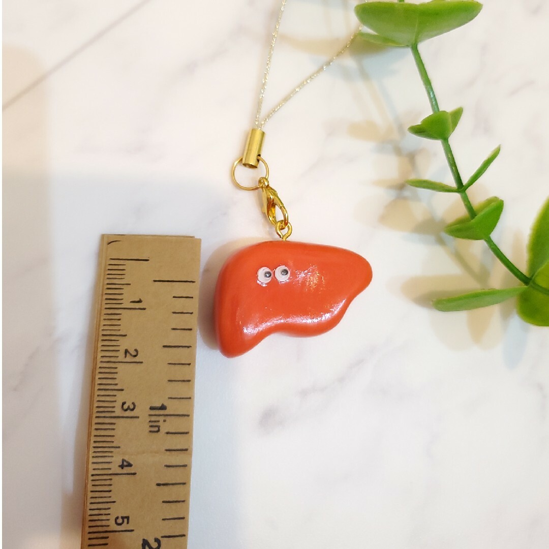 臓器 肝臓 キーホルダー ストラップ 看護 医療 ハンドメイド 手作り