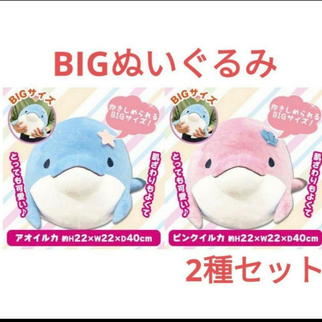 みいるか ゆるいるか BIGぬいぐるみ ピンクイルカ アオイルカの通販 by