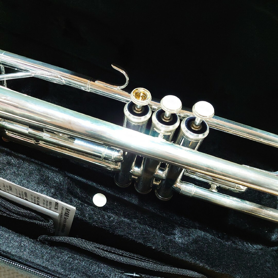 ジャンク ミネルバ トランペットの通販 by ♡断捨離SHOP♡｜ラクマ