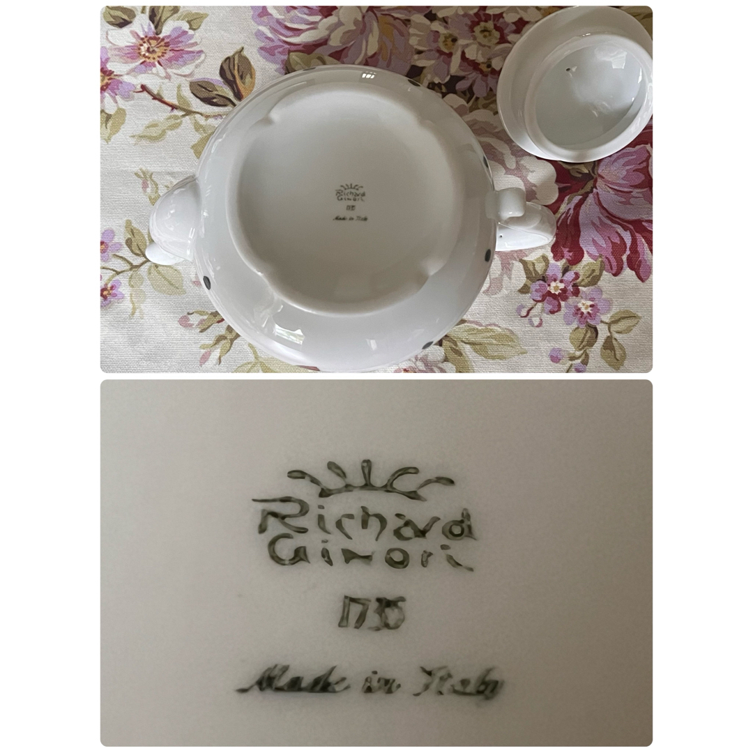 Richard Ginori - 【レア美品】リチャードジノリ☆イタリアンポア