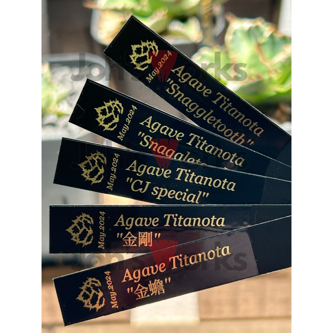 SALE【10本】プランツタグ 園芸ラベルの通販 by Joh Work Plants｜ラクマ