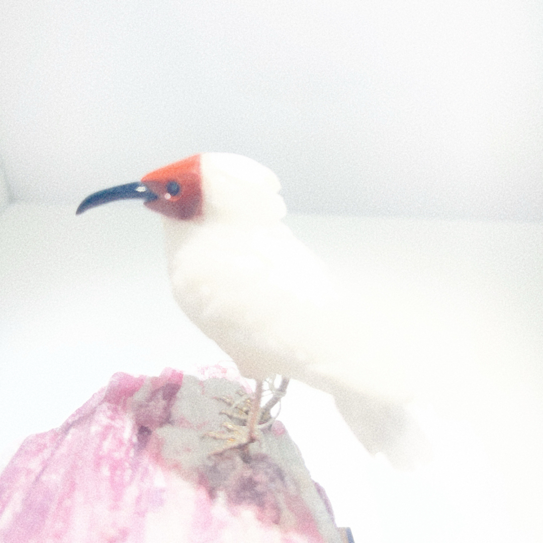 白い鳥の彫刻 ピンクトルマリンの石の台座付きNO25-2362の通販 by 22