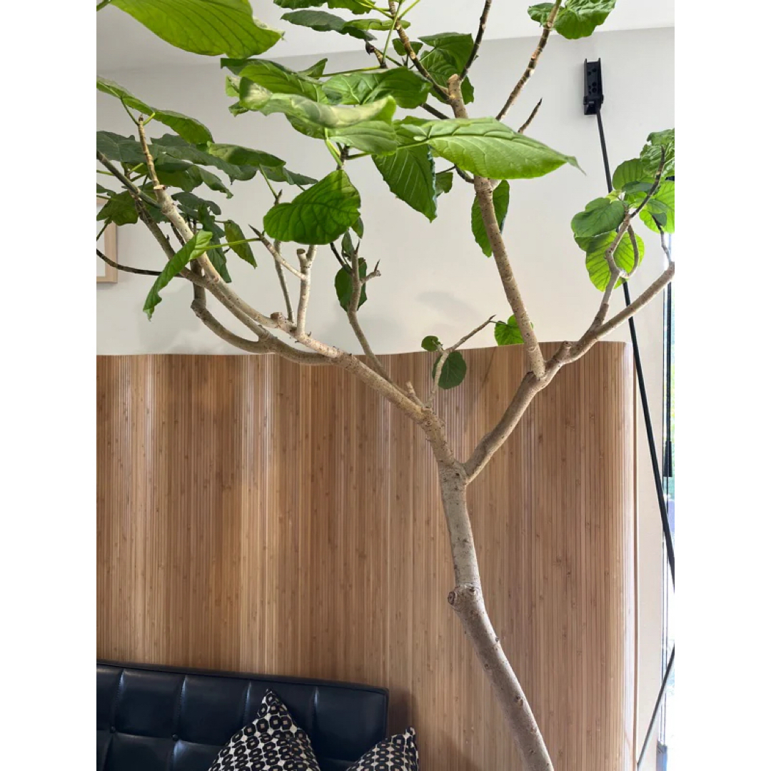 Artek風 ウッドカーブ パーテーションの通販 by MM's shop｜ラクマ