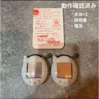 ハンターハンター キルア 生ブロマイド ゾルディック家 ブロマイド