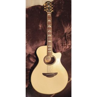 Martin - 美品 2012 Martin 縦ロゴ GPCPA1 マーティン エレアコの通販