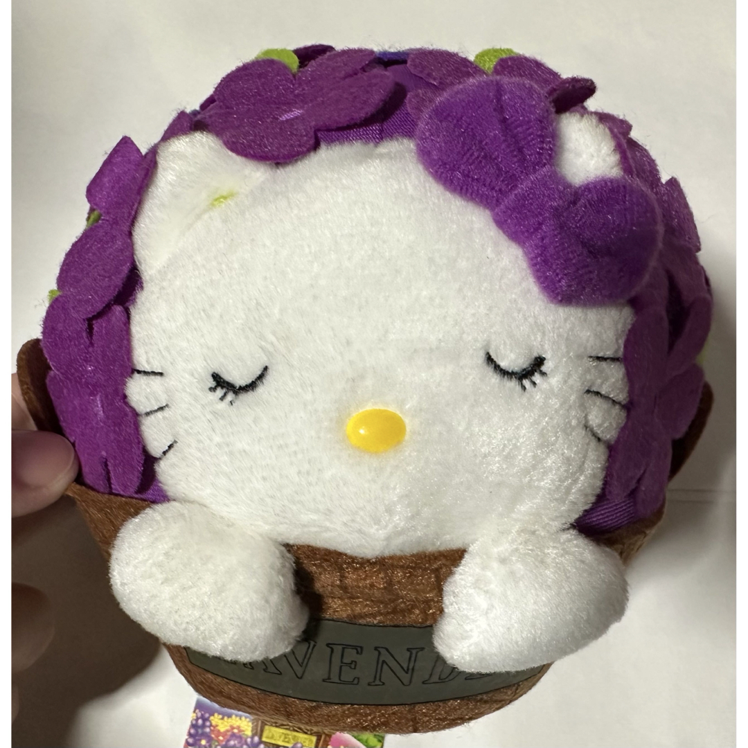 ハローキティ - 激レア ご当地キティ ぬいぐるみ 根付け グッズ