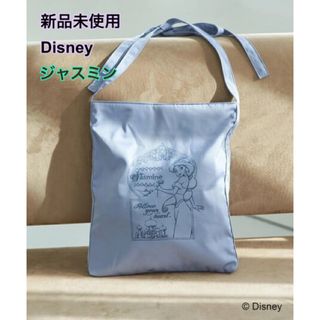 Disney - ☆DISNEY RESORT 新品タグ付 ギフト ミニパル プレゼントの