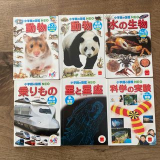 小学館 - ダダサバイバー ひょっこりシリウス コロコロ限定の通販 by