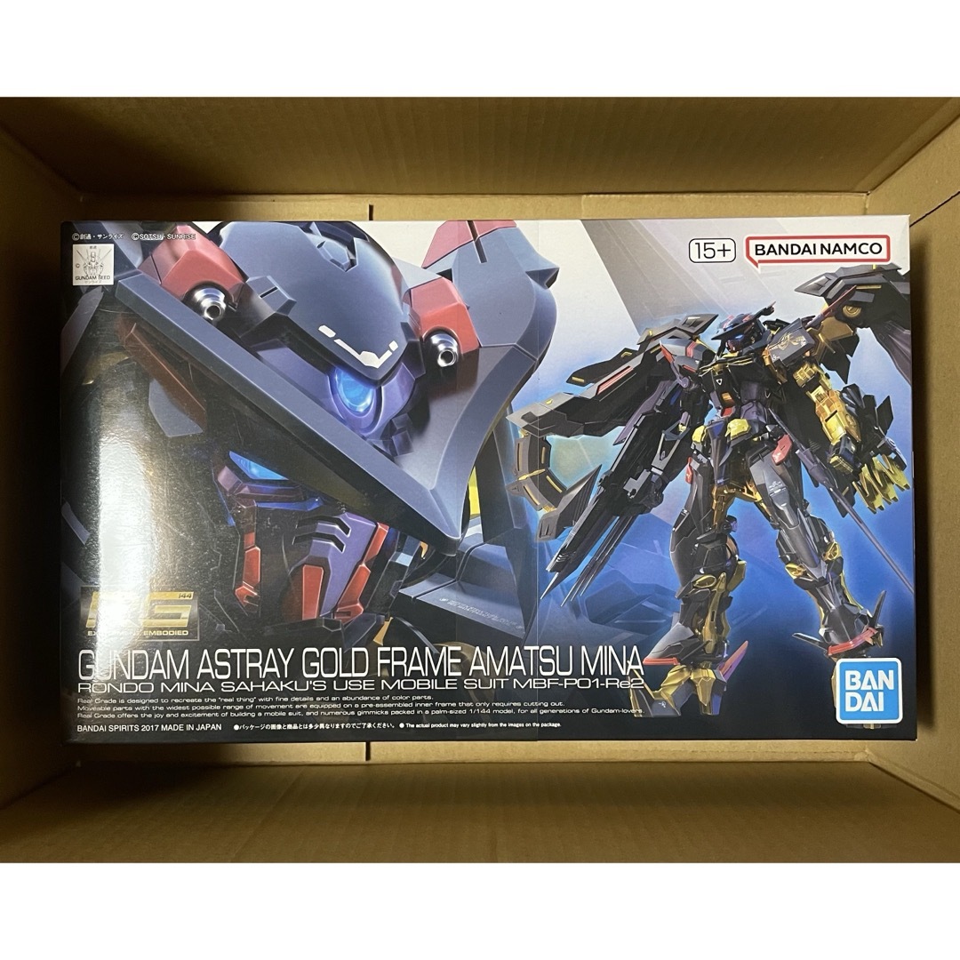 Real Grade（BANDAI） - HG デスティニーガンダム RG ガンダム