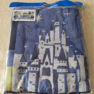 Disney - 東京ディズニーランドclub33刺繍入タオル☆クラブ33秘密の