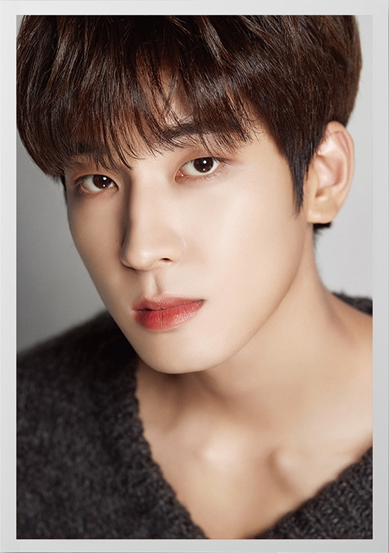 DICON D'FESTA SEVENTEEN WONWOO version《全額内金》 : SEVENTEEN