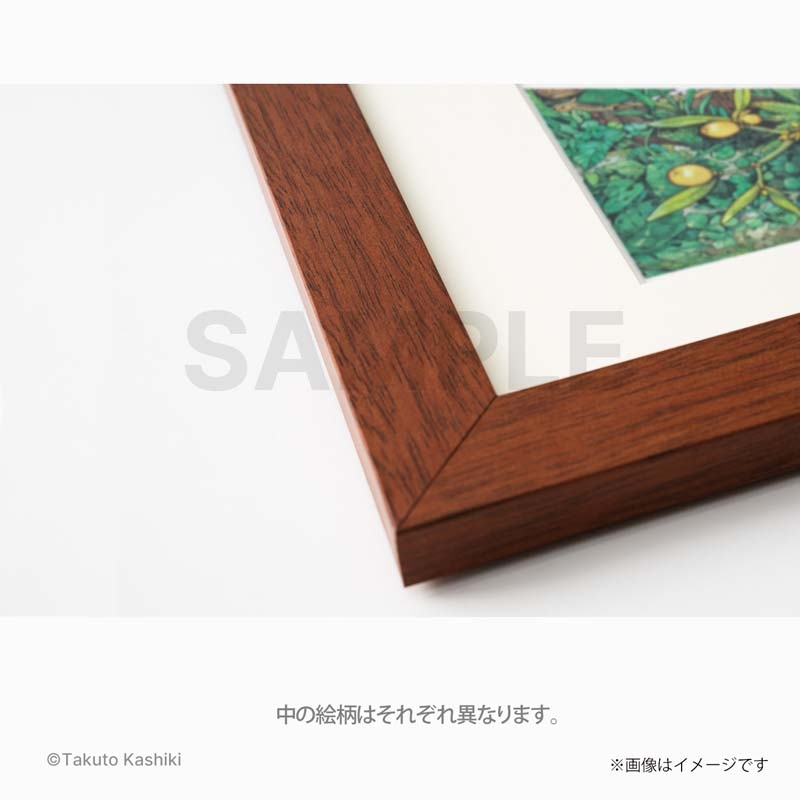 高級複製原画（11巻オモテ） / ハクメイとミコチ : 樫木祐人