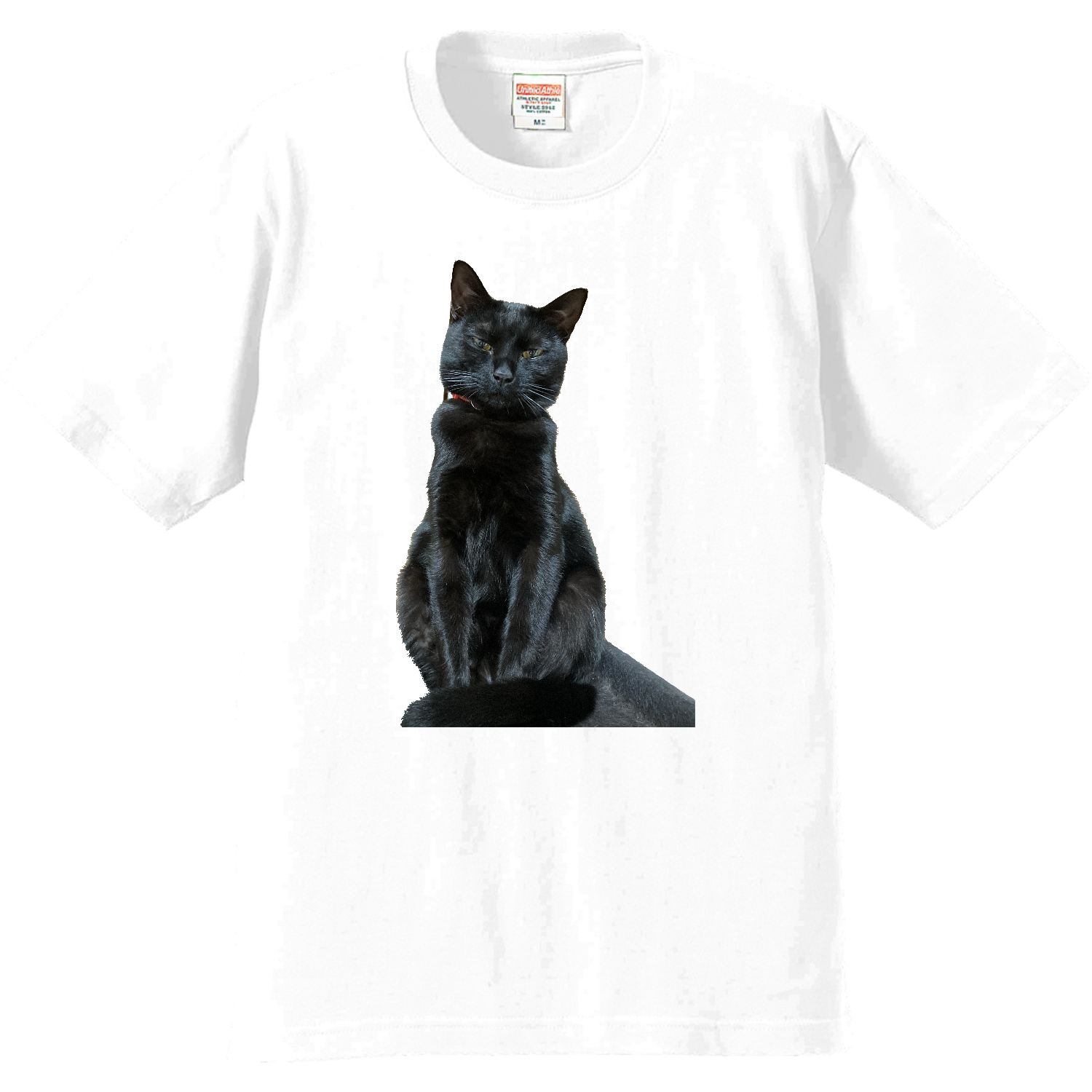 黒猫ちゃんプレミアムTシャツの商品購入ページ｜クリエイターの