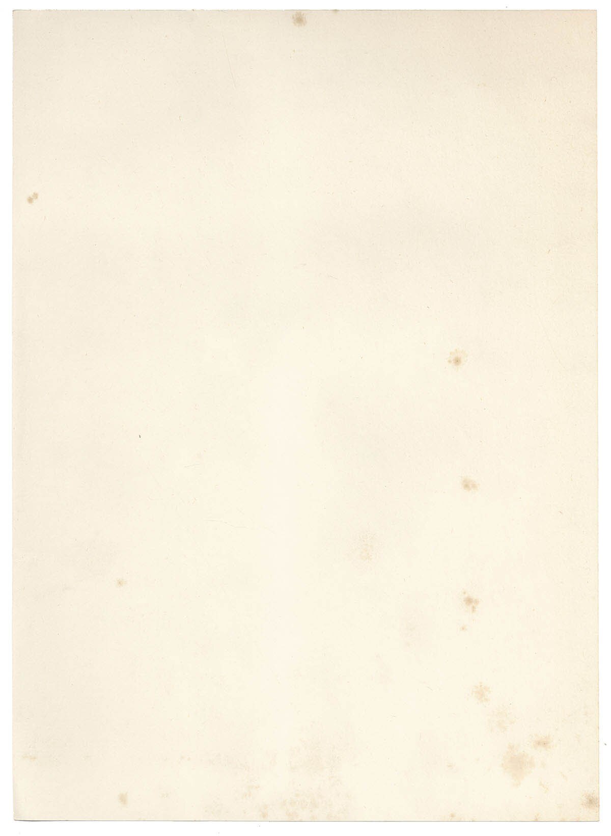 いがらしゆみこ直筆サイン入りカラー複製イラスト