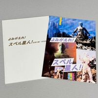 二次元コスパ ロザリオとバンパイア 黒乃胡夢ジャンボクッションカバー