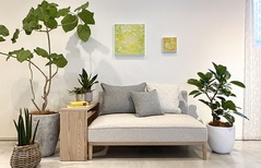 カンディハウス 道央・口コミ - 札幌[タブルーム]