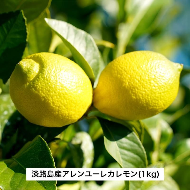 国産レモン-アレンユーレカレモン(1kg) - 兵庫県淡路島みかん狩り